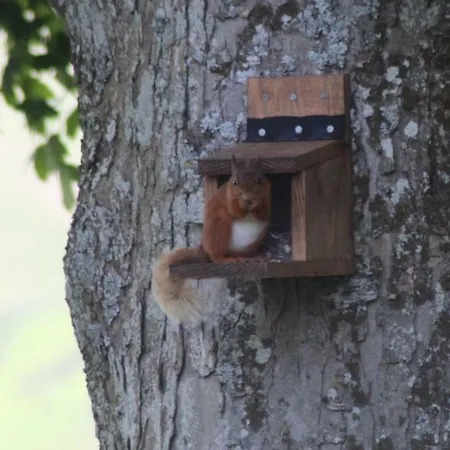 Lane Head Farm Country