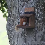 Lane Head Farm Country